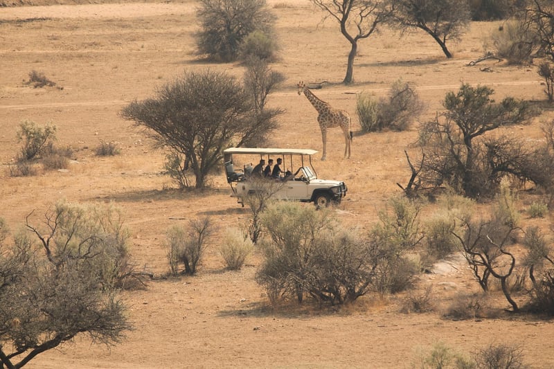Future Adventure Tours