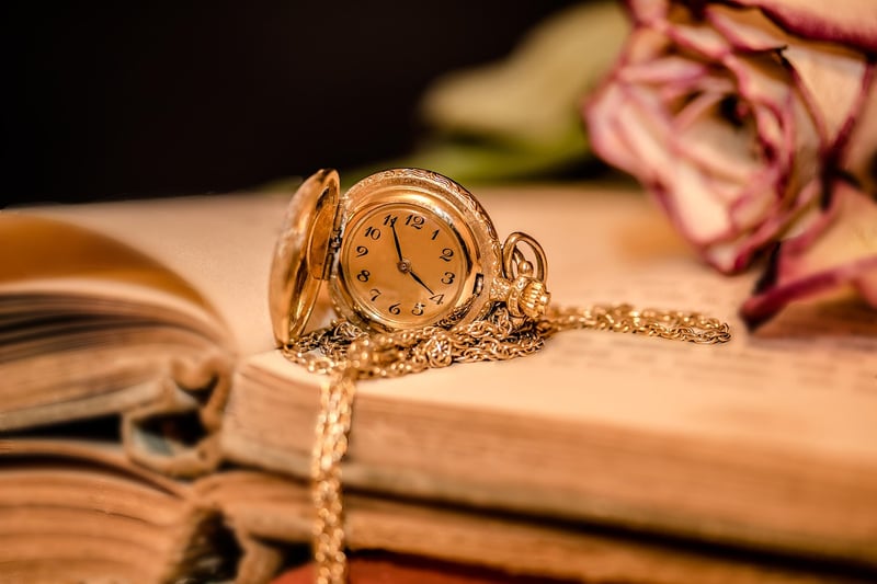 Time Wanderer